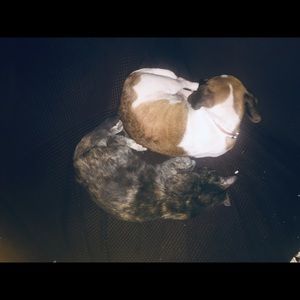 Meet your Posher, Maliah